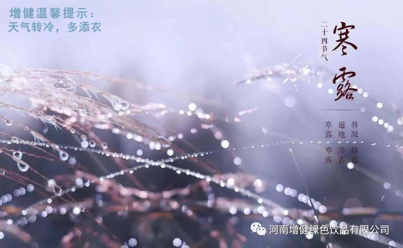 今日寒露：秋風(fēng)起，寒露至。