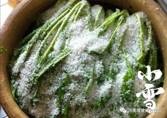 今日小雪：天地初寒，愿歲月安暖！